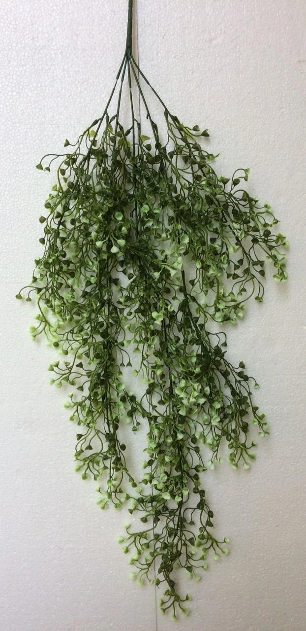 Mini cala lily creeper